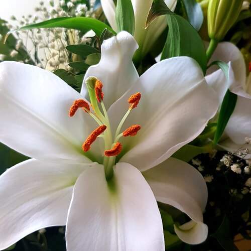 Photo #13375439