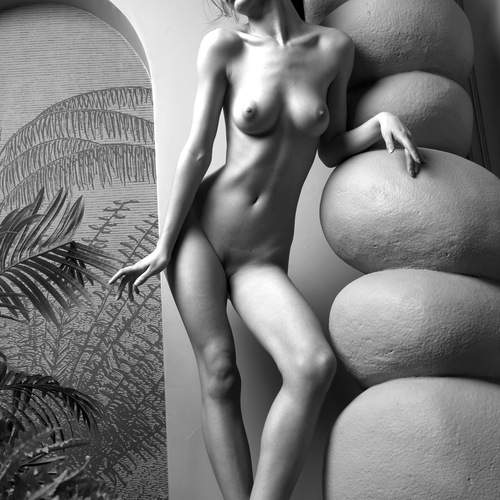Photo #13375460