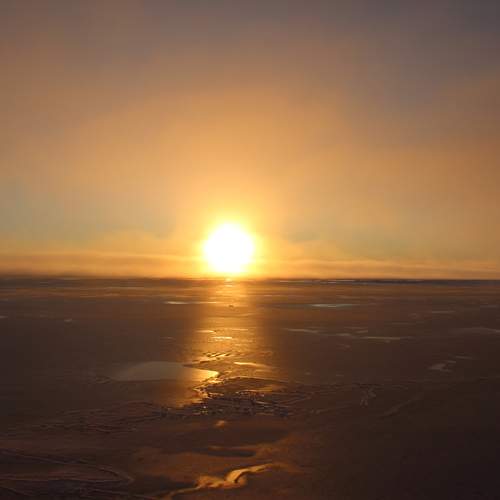 Photo #13375488