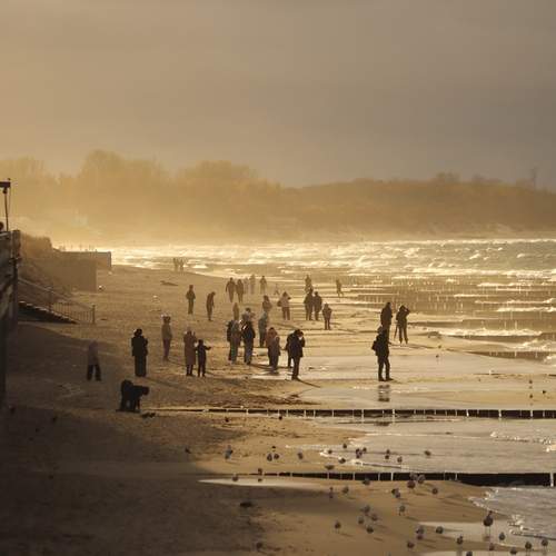 Photo #13375732