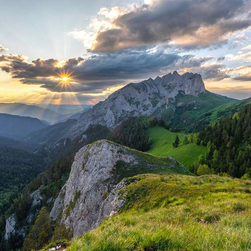 Фотография #13375832