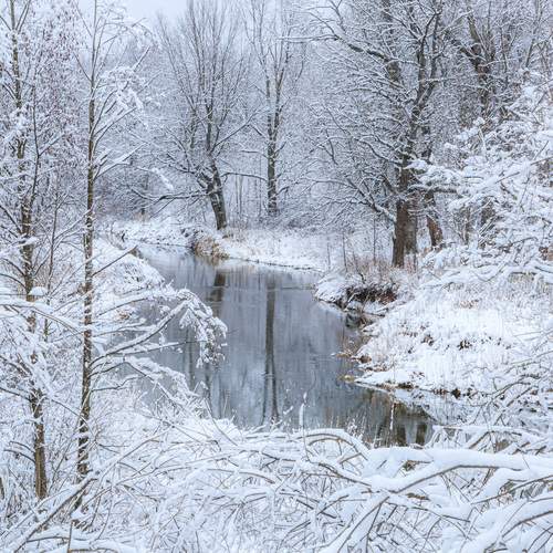 Photo #13375841
