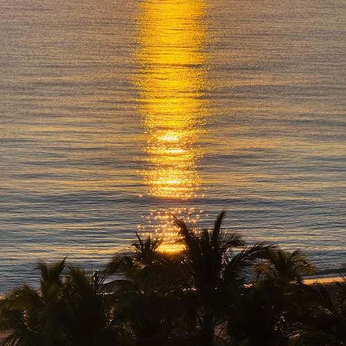 Photo #13375903