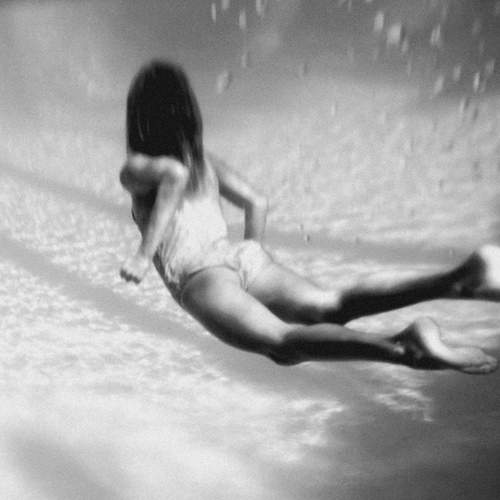 Photo #13375919