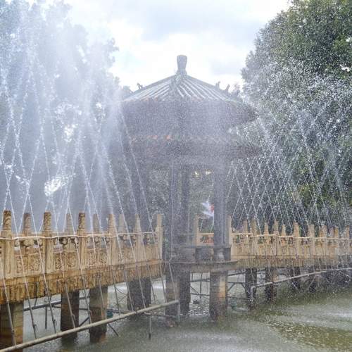 Photo #13375928
