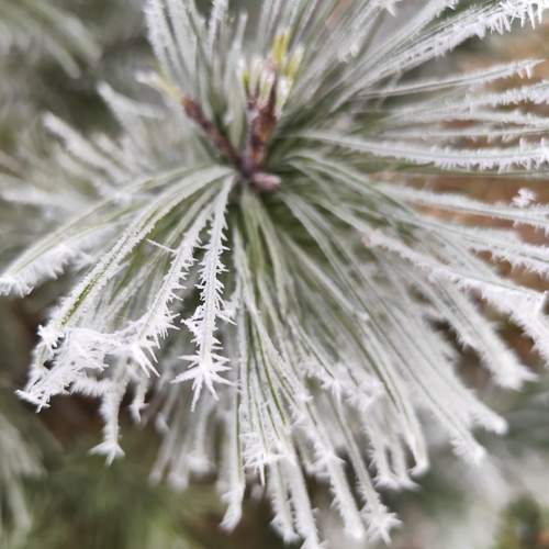 Photo #13375961