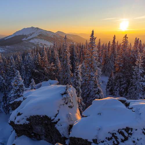 Фотография #13376016