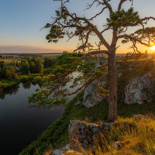 Фотография #13376134