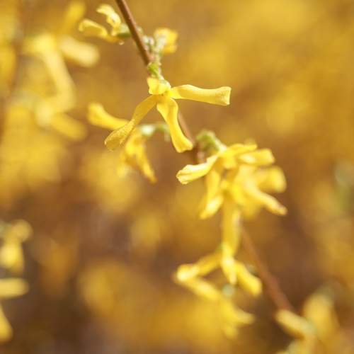 Photo #13376141