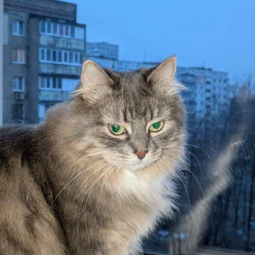 Фотография #13376153