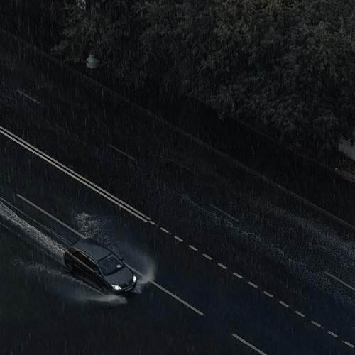 Photo #13376247