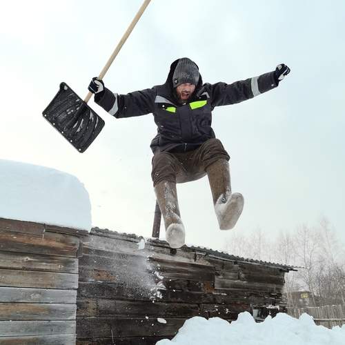 Photo #13376270
