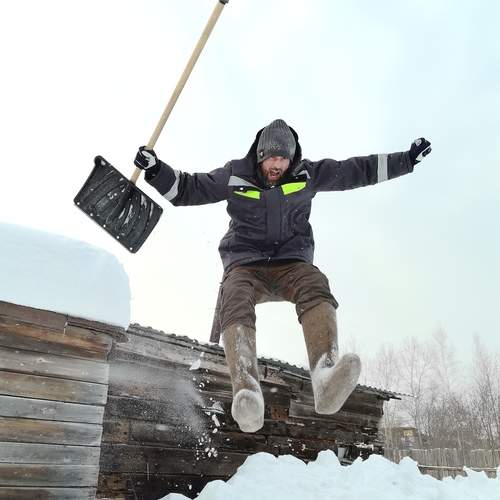 Photo #13376272