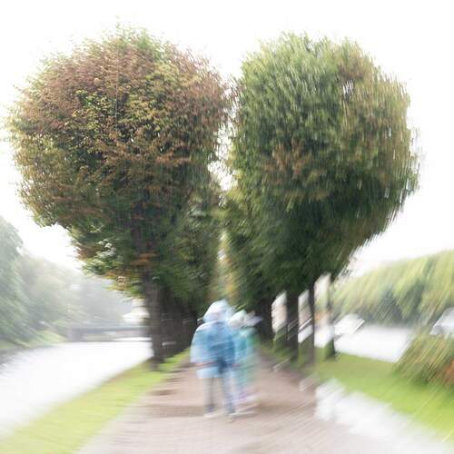 Photo #13376301