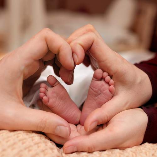 Photo #13376418