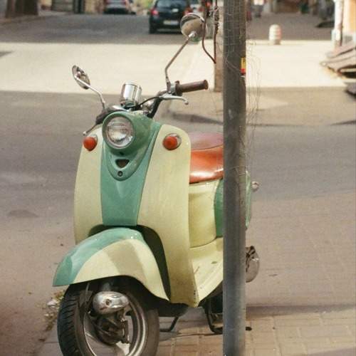 Фотография #13376532