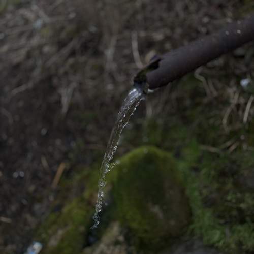 Photo #13376710