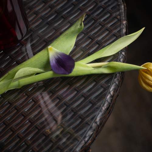 Photo #13376726