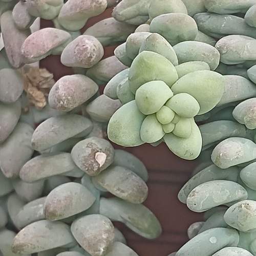 Photo #13376763
