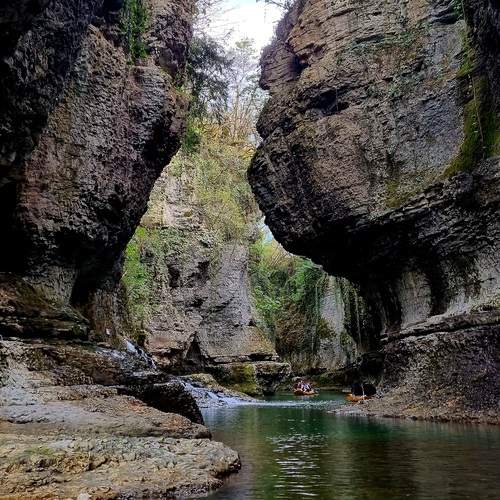 Photo #13376779