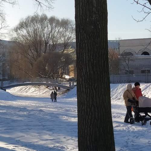 Photo #13376799