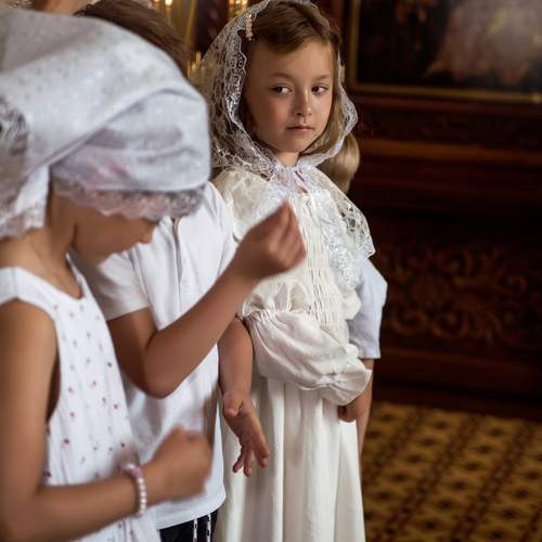 Photo #13376831