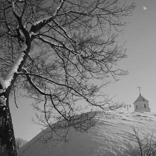 Photo #13376838