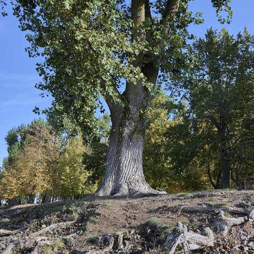 Photo #13376922