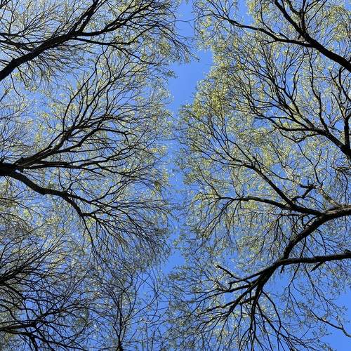 Photo #13376940