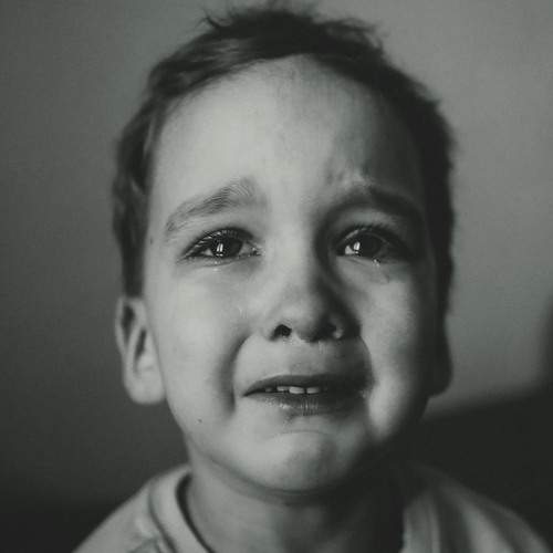 Photo #13376941