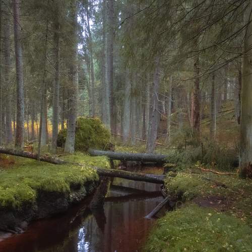 Photo #13377010