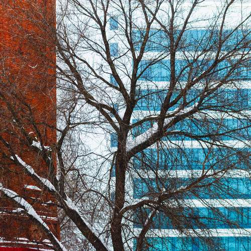 Фотография #13377030