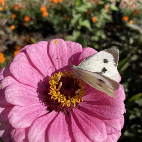 Photo #13377110