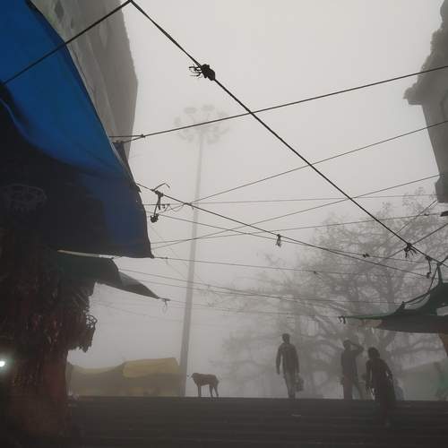 Photo #13377173