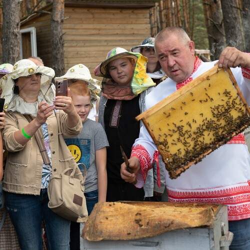 Photo #13377179