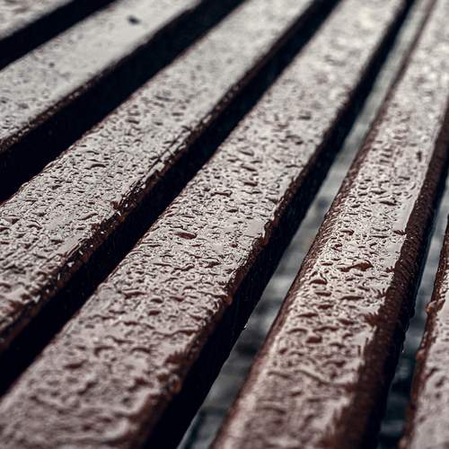 Photo #13377219