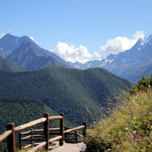 Photo #13377269