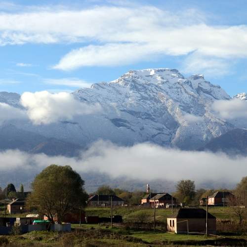 Photo #13377463