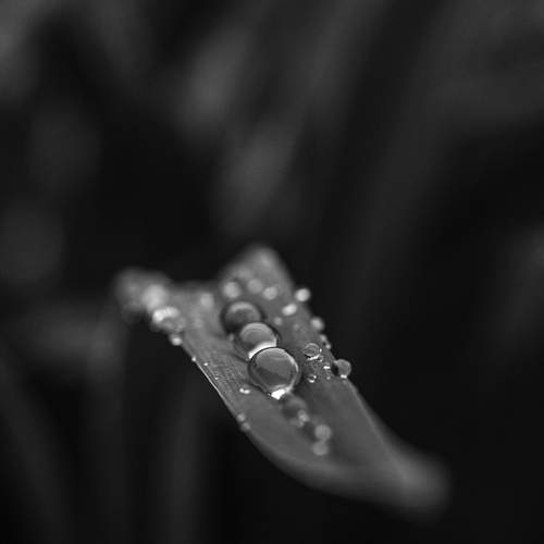 Photo #13377710