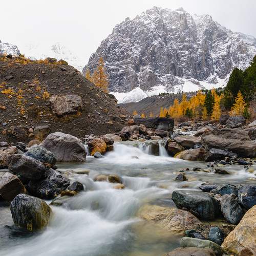 Photo #13377789