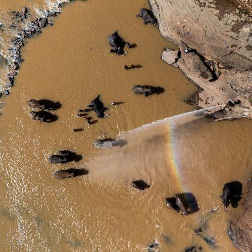 Photo #13377867