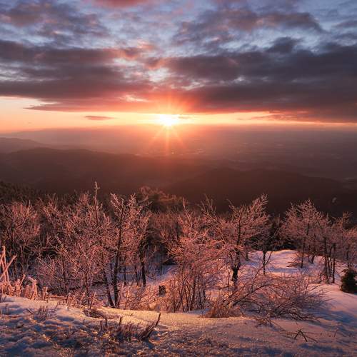 Black forest winter magic