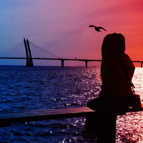 Photo #13377963