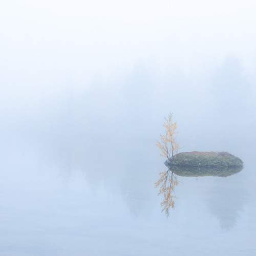 Photo #13377993