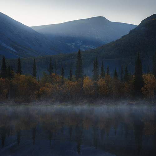 Photo #13377994