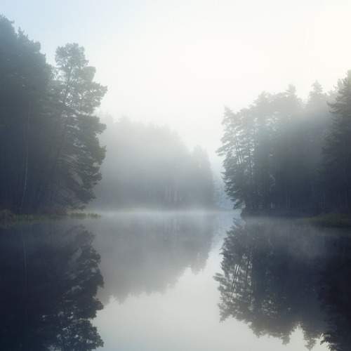 Photo #13378000
