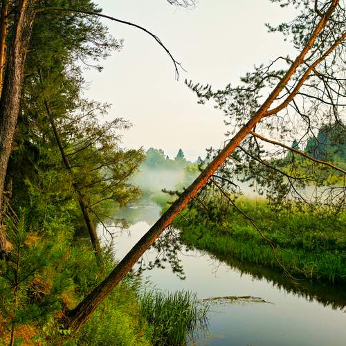 Photo #13378067