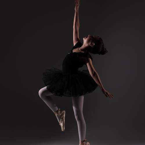 Photo #13378071