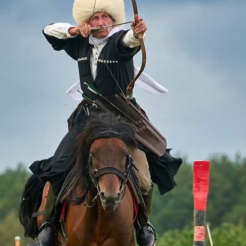 Photo #13378110