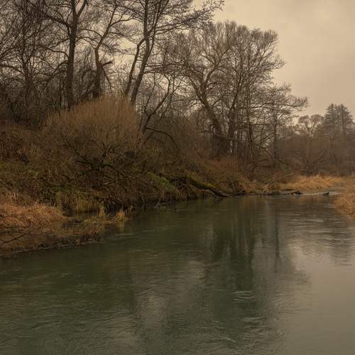 Photo #13378169